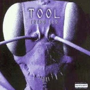 Tool : Third Leg